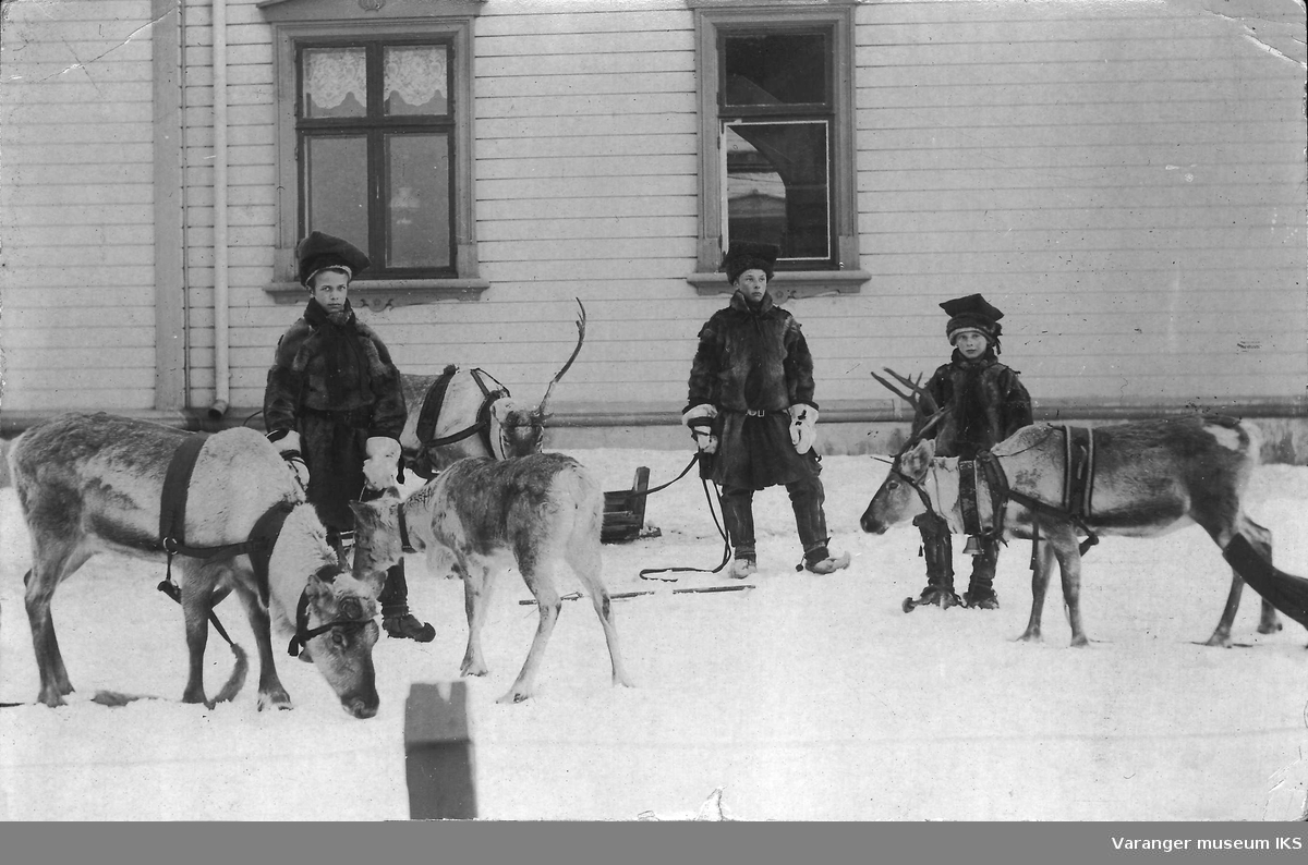 Amtmannens barn Valborg, Ragnvalg og Truls med reinsdyr utenfor Amtmannsgården 1902.