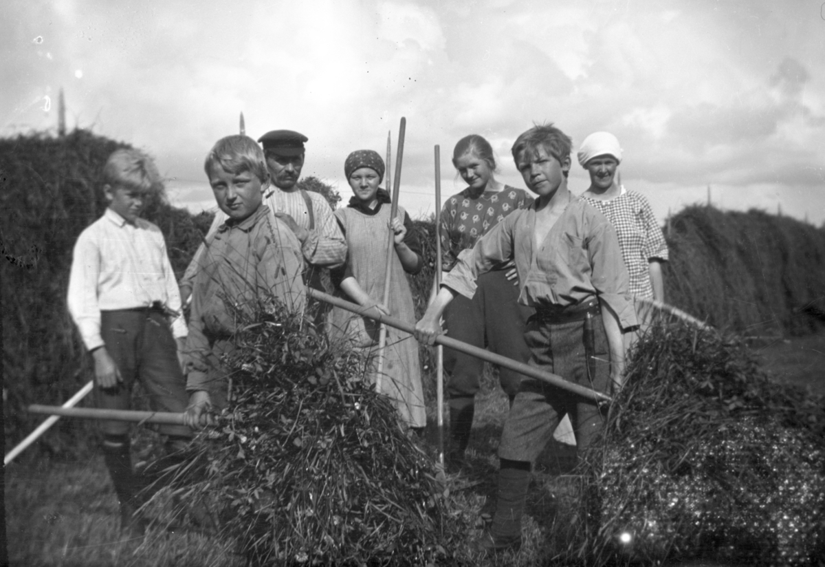 Slåttonn.
Mann, tre jenter og tre gutter.
Nr, 5 fra venstre er Ingeborg Jørgensen (1905-1988), nr. 6 fra venstre er Jon Jørgensen (1908-1984). Bildet er tatt i 1922. 
Gutten lengst til venstre er Helge Jørgensen (1907-2004) fra Søbakken i Elverum. Se også ES.03836.