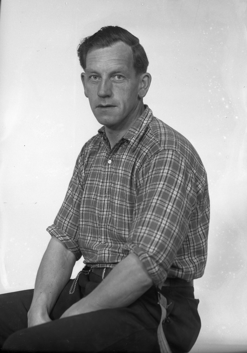 Petter P. Langdalen