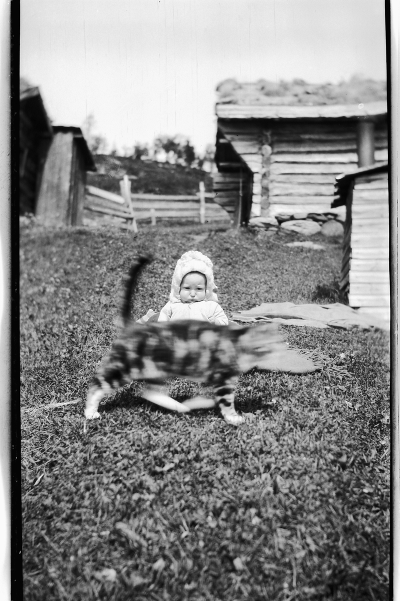 En baby sitter i gresset mens en katt springer forbi. 