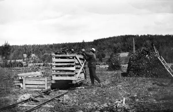 Torvdrift - Anno Glomdalsmuseet / DigitaltMuseum