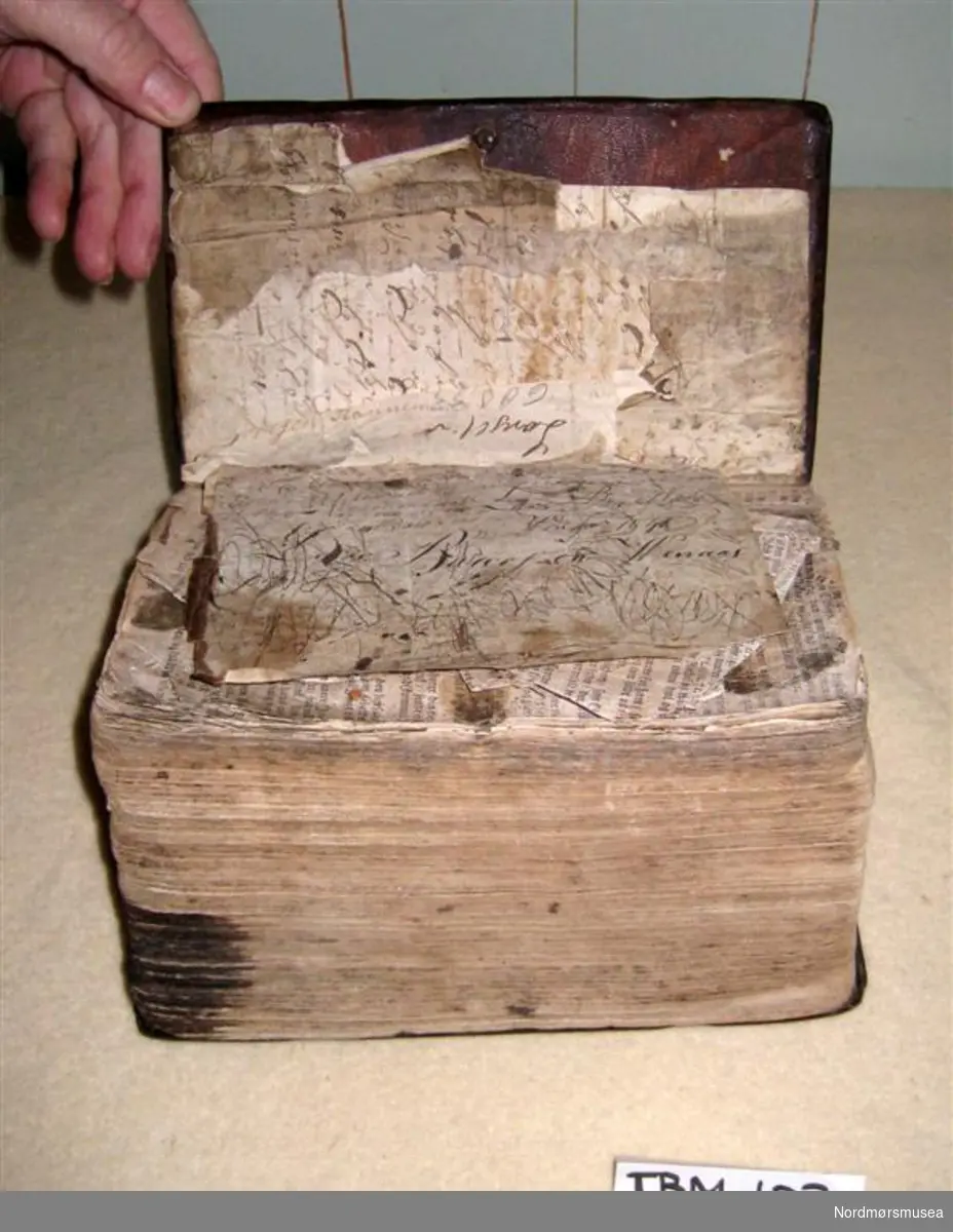 Bibelen er svært medtatt. Mange ark er samanklistra. Tittelblad med trykkingsdato manglar. Solid skinnbind med restar etter reimene som har halde boka saman. Trykktypana og bokstavane gjer at boka kan vere frå 1700-talet.
Gotisk skrift.