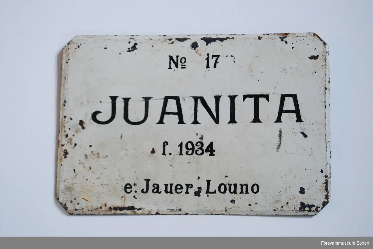 Skylt 20,5 x 30 cm av målad plåt. Vändbar med texten "Juanita sjuk" på baksidan.