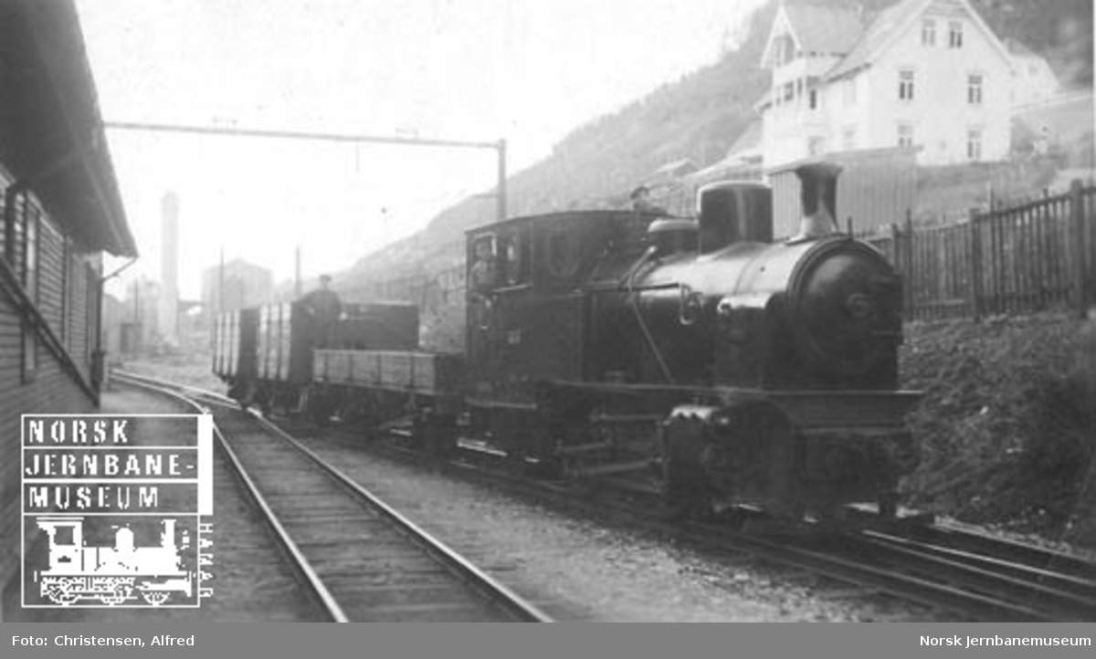 Thamshavnbanen damplokomotiv nr. 10 med godsvogner