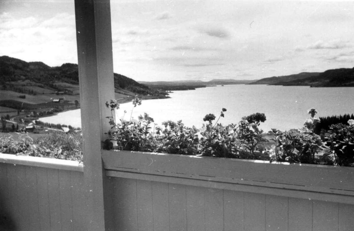 Berg, Ringsaker, Hedmark. Utsikt over Mjøsa fra gården.
Fra dr. Eivind S. Engelstads storgårdsundersøkelser 1955