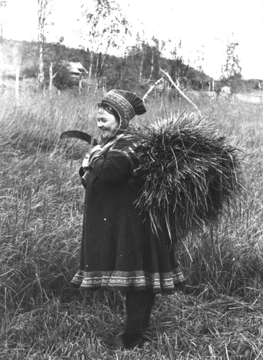 En kvinne med sennegressbør på ryggen. Masi 1967.