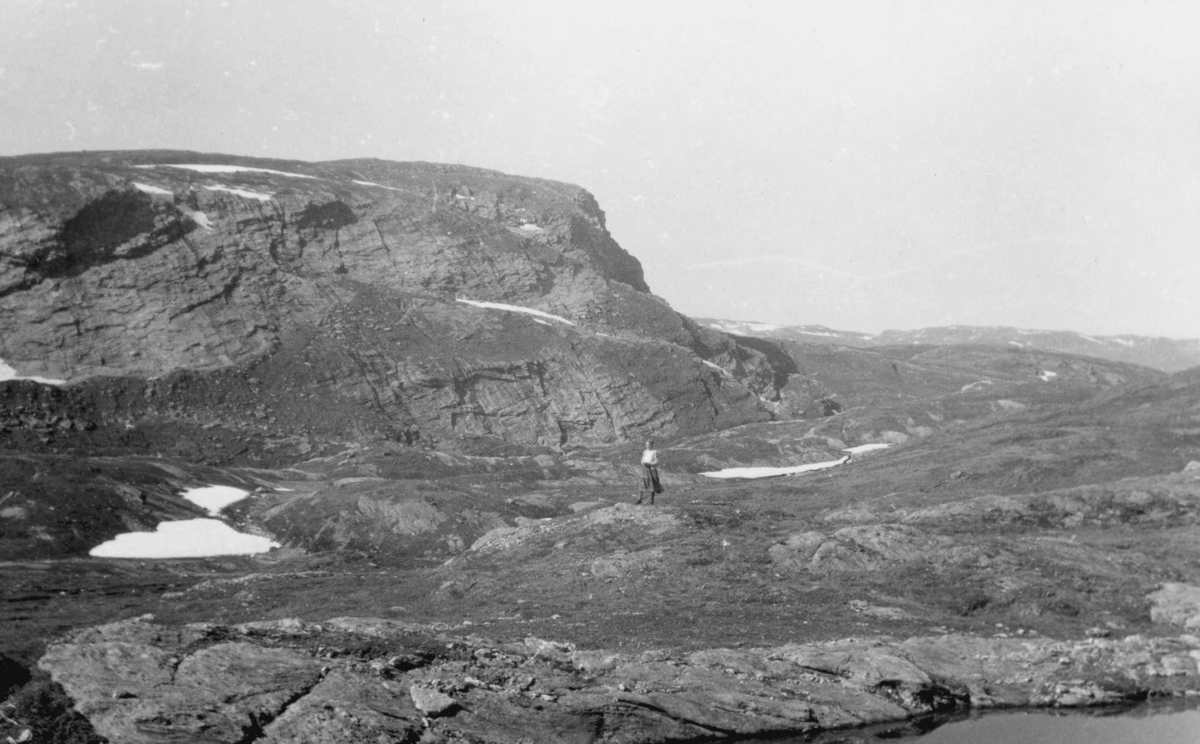 Fjellandskap På Skjellingarosa I Voss Norsk Folkemuseum Digitaltmuseum