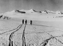 Avfotografert postkort. Tre skiløpere i Rondane. Utsikt mot 