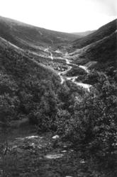 Vårstigen, Drivdalen 1935. Oversiktsbilde. Elv renner gjenno