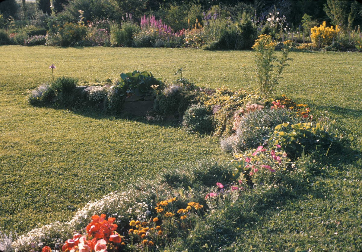 Blomstermotiv. Grøntområde tilhørende Staup hagebruksskole ved Levanger.