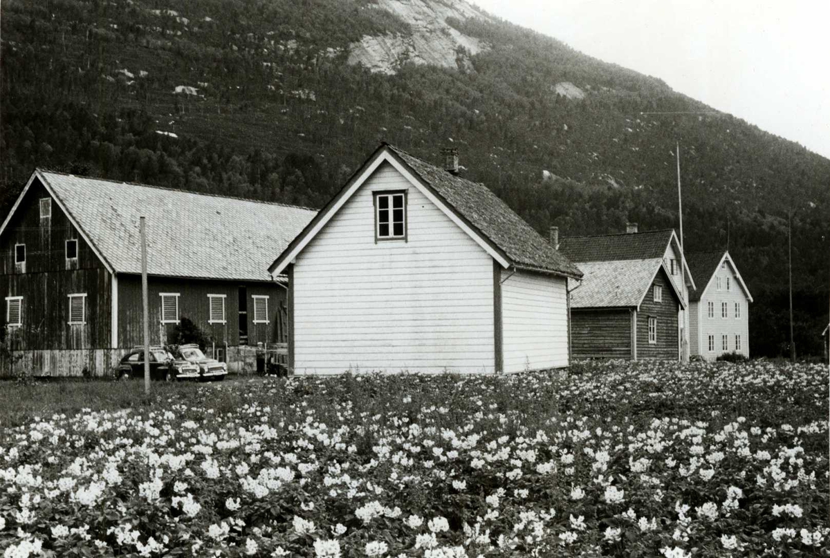 Rysdal, Gloppen, Sogn og Fjordane. Lite hvitt skolehus med gård i bakgrunnen, sett fra et jorde. Registrering utført 1958-59 av Johan Schiong for Noregs Lærarlag. 