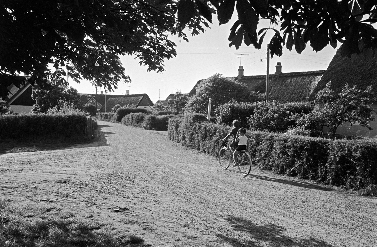 Serie. Fra Fanø, Danmark. Sønderho med stråtekte hus, Vadehavet samt lokal skoleklasse. Fotografert juni 1964.