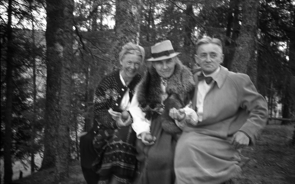 Alhed Johnson, Kathrine Berggrav og Jon Johnson fotografert i forbindelse med et besøk på Vang prestegård, Hedmark. Fotografert 1948.