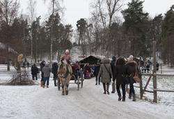 Hestekjøring på friluftsmuseet, Julemarkedet 2012.