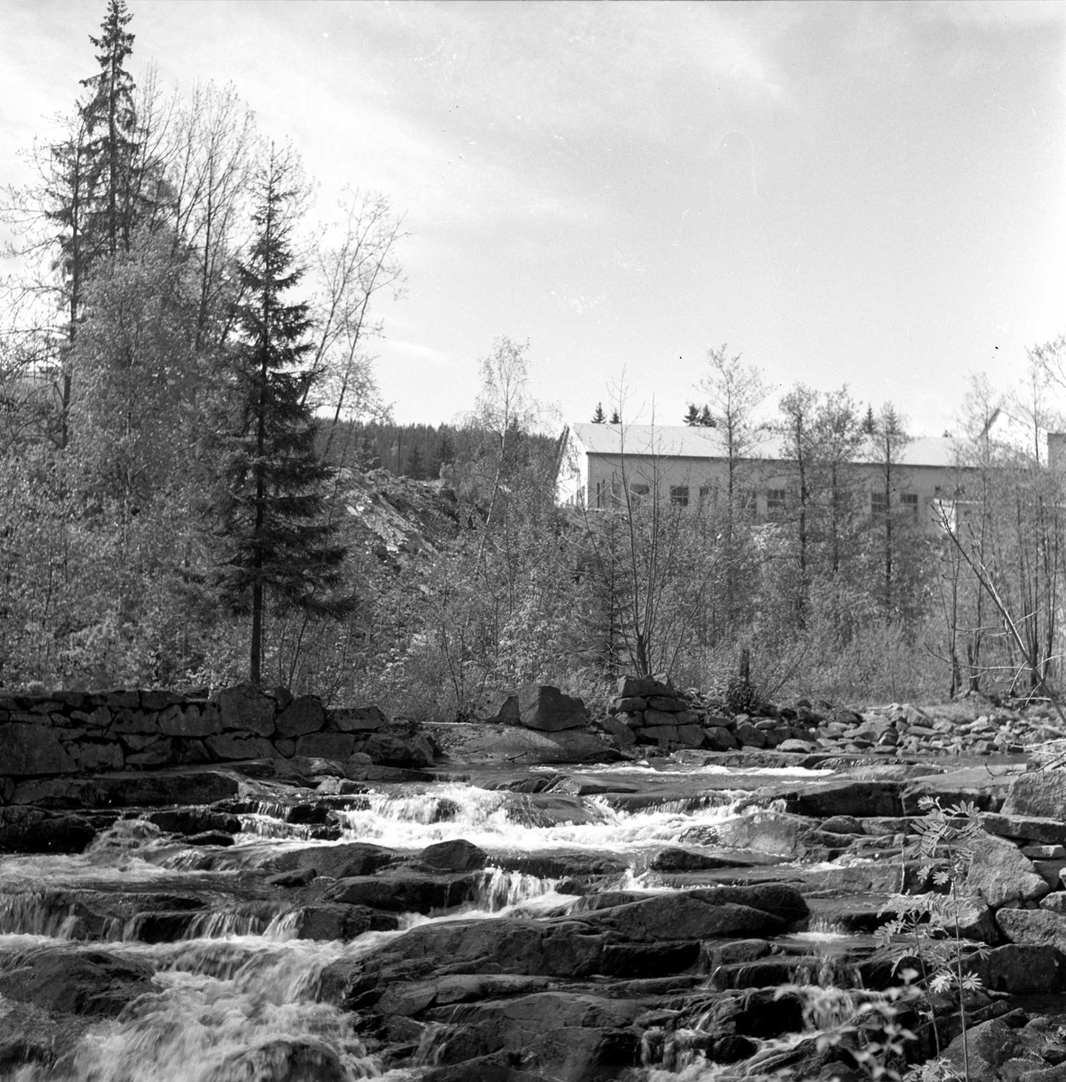 Kloakk i Skarelva, Maridalen, Oslo . 31.05.1956.