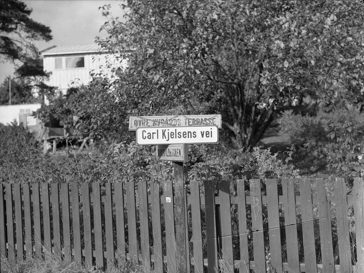 Carl Kjelsens vei, Oslo, 11.10.1954. Nydalsbrua. Bolig tomt og hage.