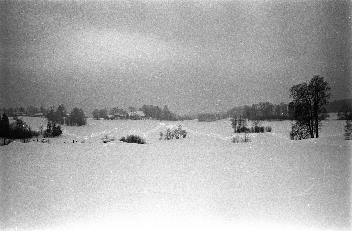 Fra Sogn, Oslo mars 1960. Vinterlandskap.