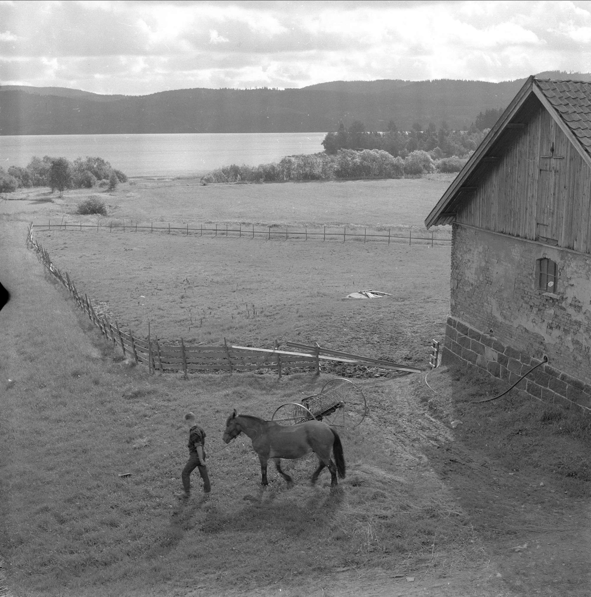 Skjerven gård, Maridalen, Oslo, 08.06.1958. Uthus, jorder og mann med hest.
