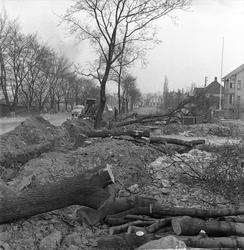 Storoveien, Oslo, 14.05.1956. Veiarbeid, felling av trær.