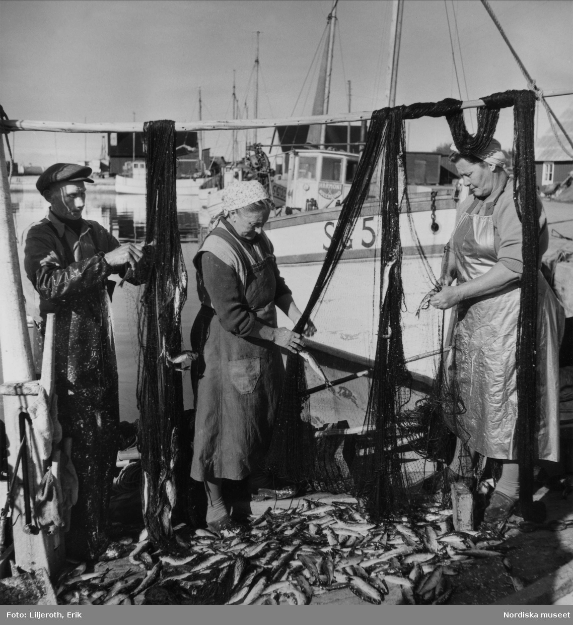 En man och två kvinnor plockar sill ur garnen vid fiskehamnen i Nogersund