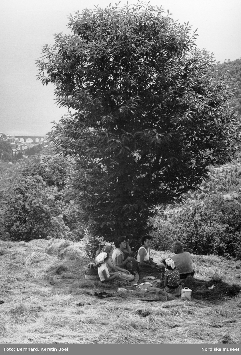 Måltid i skuggan under ett träd. Kvinnor i olika åldrar och en man sitter på en höjd och äter. Utsikt ner mot en stad. Troligen Grekland.