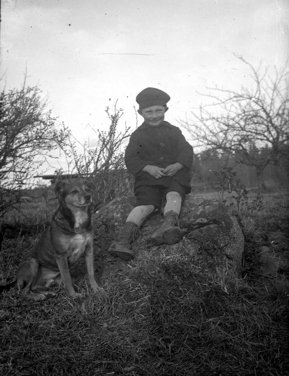 En pojke med en hund sitter på en sten.