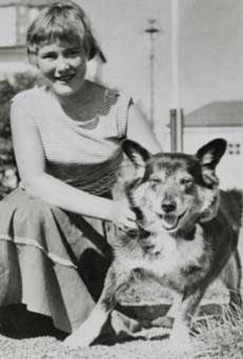 Jente med hund: Reidun Katrine Gjertsen med Donu (?) som fungerte som tåkelur på Tungenes (buhund + samehund) kom fra fauk-skøyte