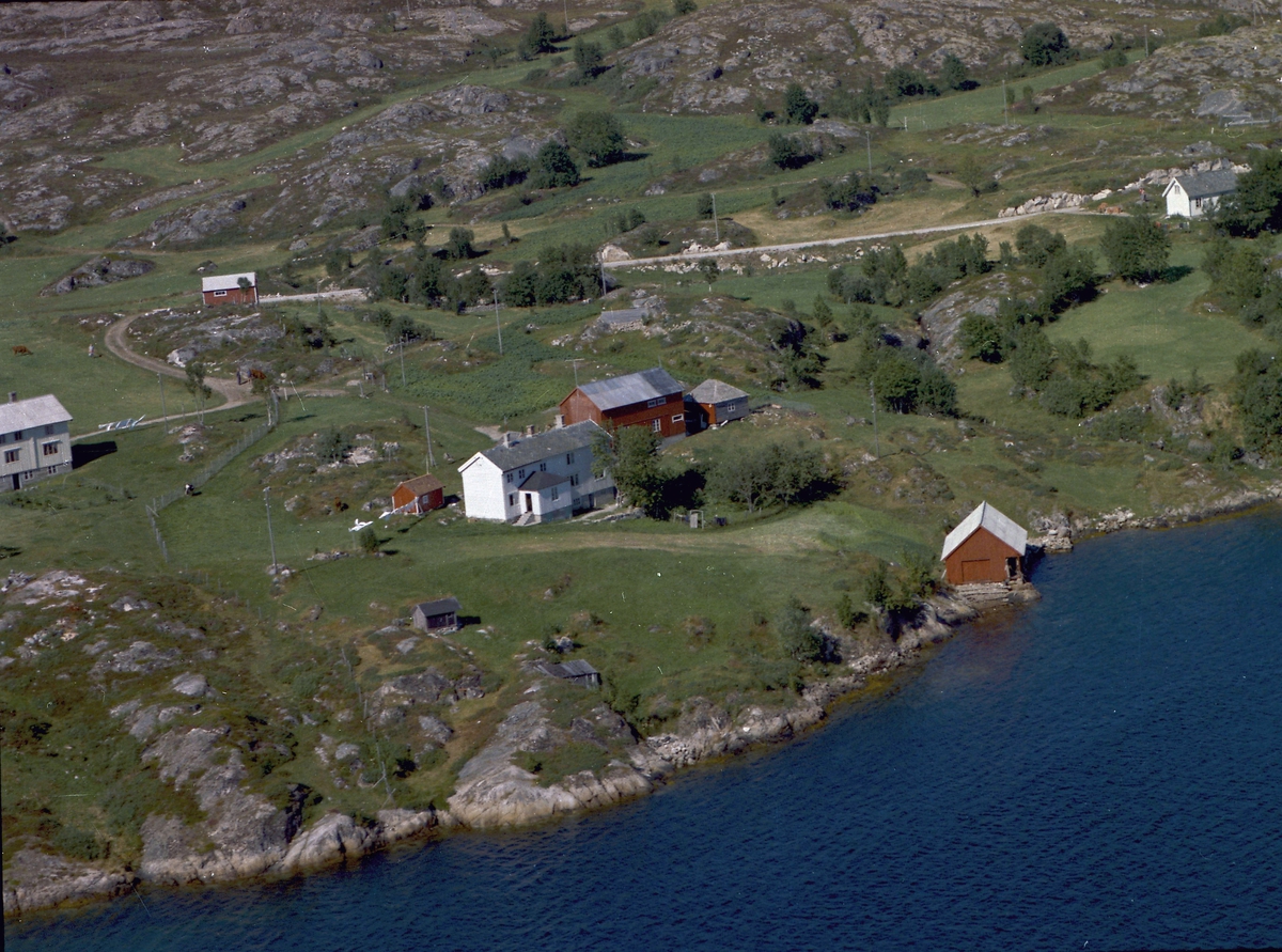Eiendommene Hammervik, Myrvang og Nyheim