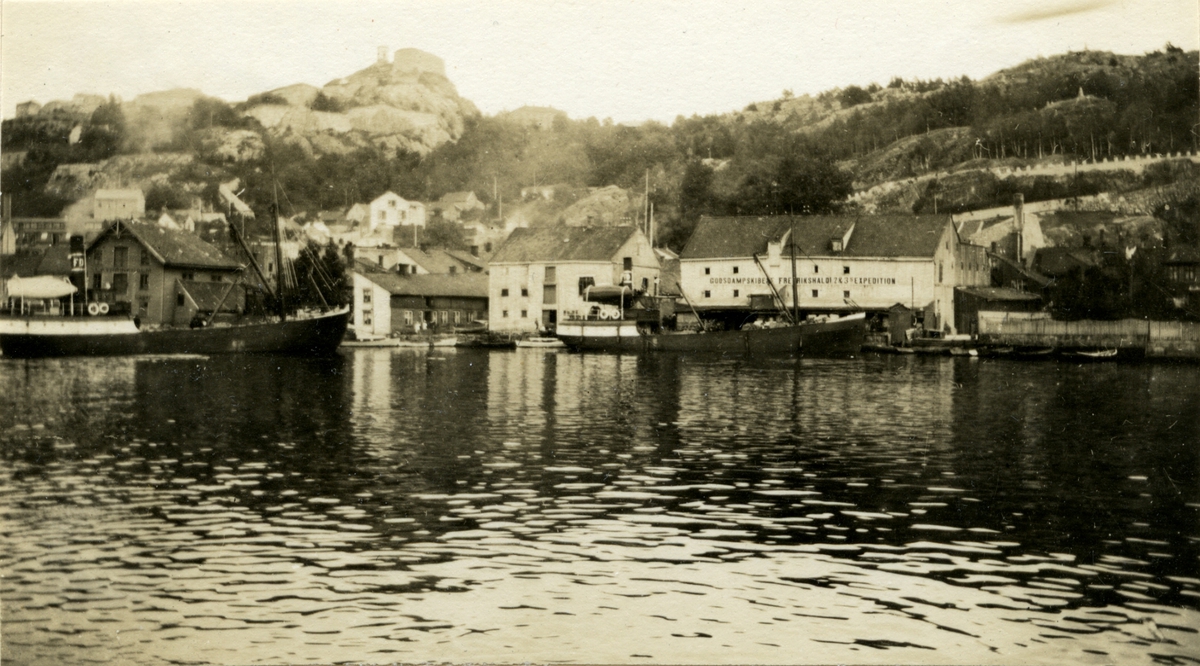 D/S 'Fredrikshald 1' (b.1890,  Nylands Verksted, Kristiania), - i Fredrikshald.