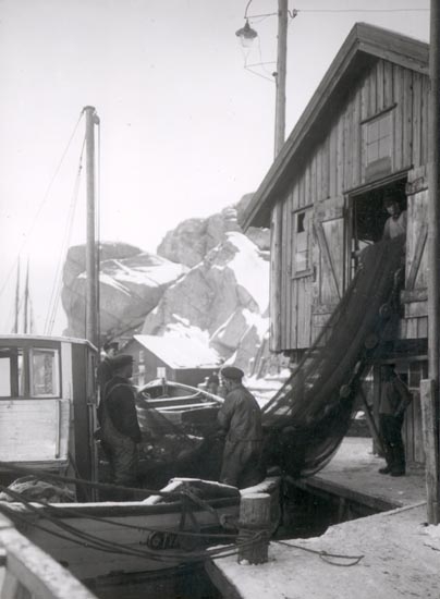 Skarpsillvaden tas ombord, Smögen 1924