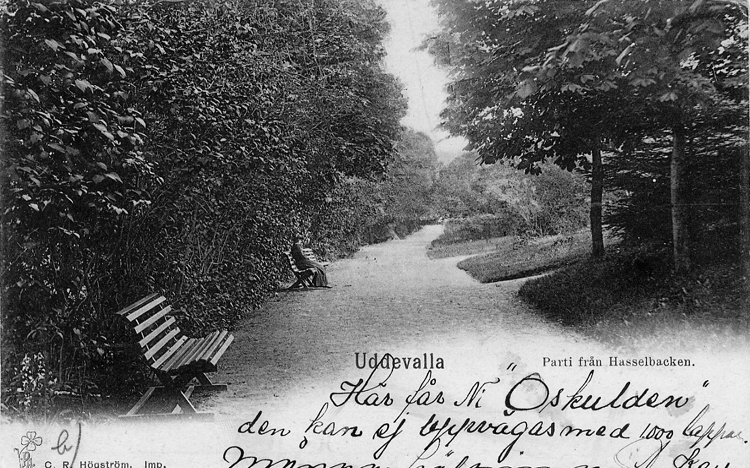 Tryckt text på vykortets framsida: "Uddevalla Parti från Hasselbacken."