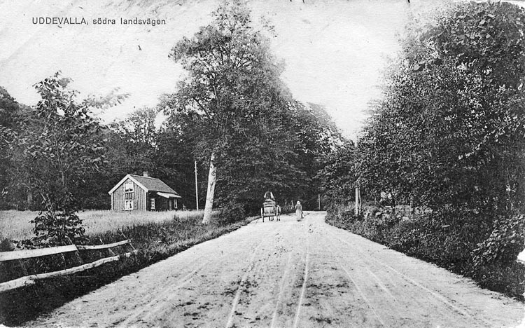 Tryckt text på vykortets framsida: "Uddevalla. Södra Landsvägen".


