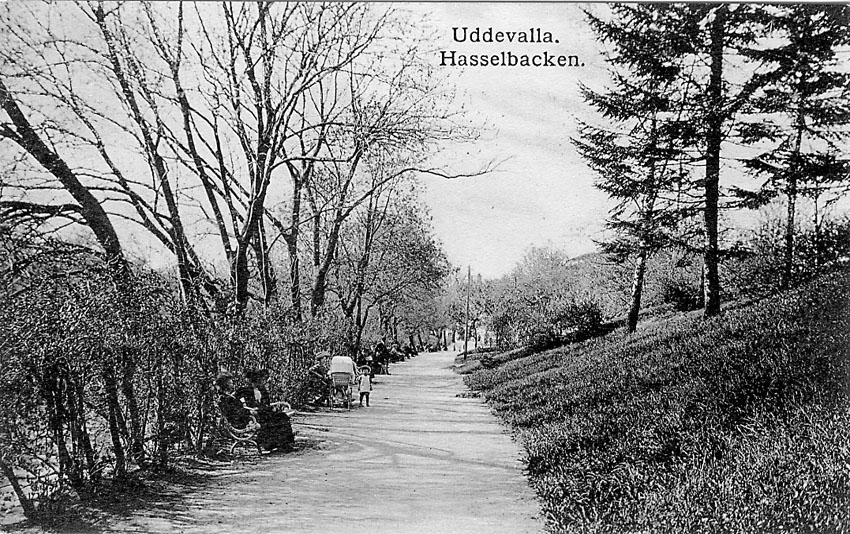 Tryckt text på vykortets framsida: "Uddevalla. Hasselbacken".


