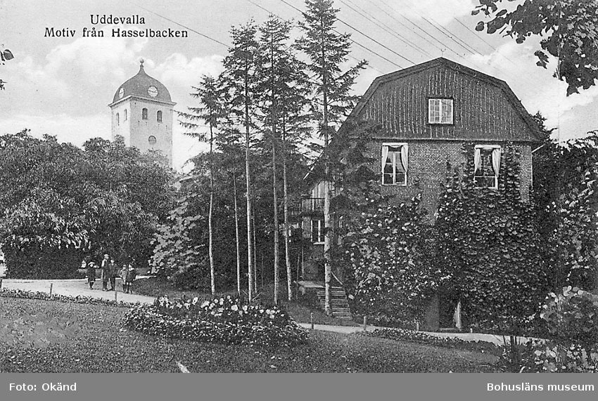 Tryckt text på vykortets framsida: "Uddevalla Motiv från Hasselbacken".