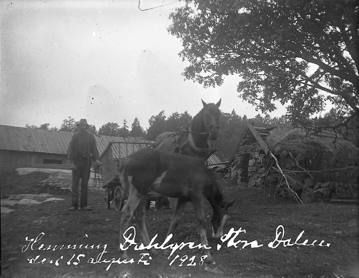 Enligt text på fotot: "Henning Dahlgren Stora Dalen den 15 augusti 1928".