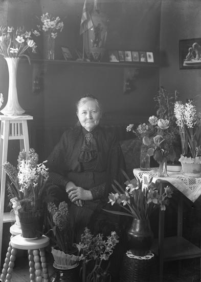 Enligt fotografens noteringar: "Fru Lindberg Munkedal en gammal treflig dam som jag ofta gästat, Selma Sahlberg, Maka till Verkmästare Lindberg."