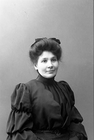Enligt fotografens journal nr 1 1904-1908: "Johansson, Fru Josefine Varekil".