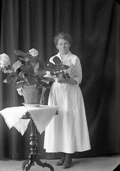 Enligt fotografens journal nr 3 1916-1917: "Ågren, Tekla adr. Fru Steen Ön".