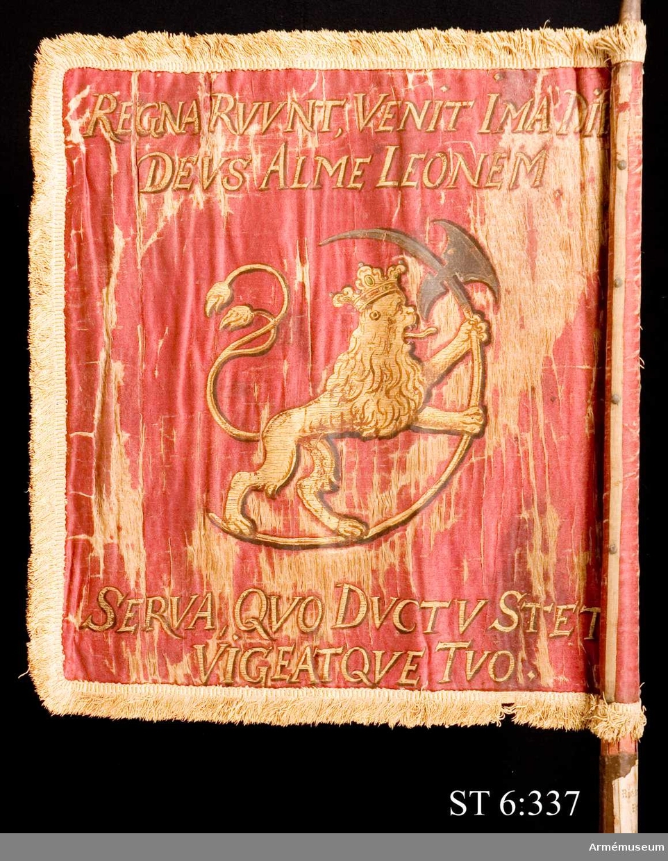 Duk av dubbel, röd sidenatlas med ljusbrun (urspr. röd?) silkefrans. Målat motiv i guld. På ena sidan den danske kungen Fredrik III:s monogram under krona. Därunder hans valspråk: DOMINUS PROVIDEBIT (Herren utser). På andra sidan det norska lejonet med St Olafs yxa. Kring lejonet devisen: REGNA RUUNT, VENIT IMA DIES, DEUS ALME LEONEM, SERVA, QVO DUCTU STET VIGEATQUE TUO vilket betyder: "Riken störtar, yttersta dagen kommer, du milde Gud, bevara lejonet så att det står fast och välbehållet under din ledning".
Duken är lindad runt stången och fastspikad med tännlikor på tre ljust bruna ripsband.
Standarstång med kannelyrer. Avbruten under greppet. Rödmålad och försedd med påspikade järnskenor samt löpande bärring.
Spets av järn, bladformig och genombruten. 16 cm hög.
