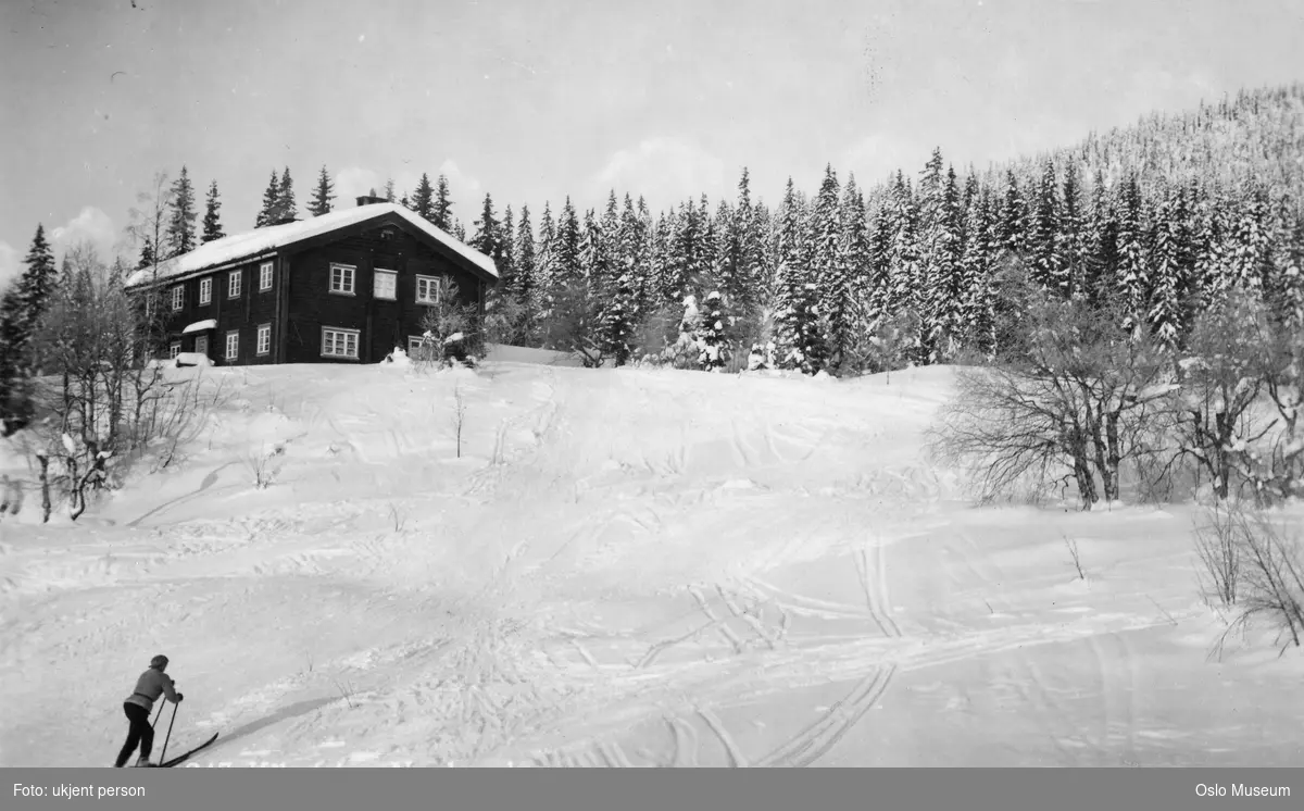 hytte, snø, skog, mann, skiløper