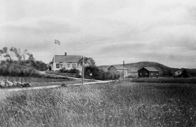 Bildtext till kopian i fotoalbumet: "Grönskhult omkring 1920".
