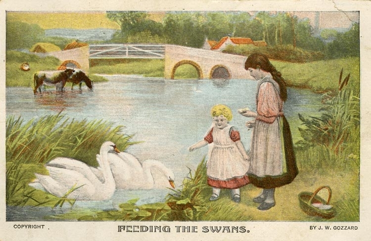 Notering på kortet: Feeding the swans.