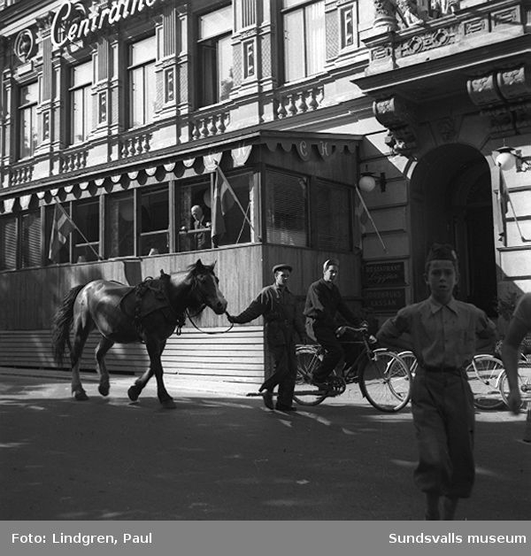 Häst som har skenat, men har fångats in vid Centralhotellet.