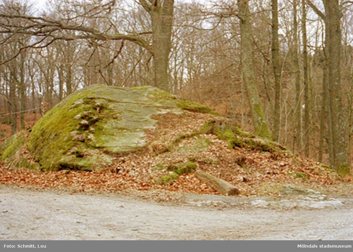 En stor sten med omkringliggande bruna löv och träd, tillhörande Gunnebo slott.