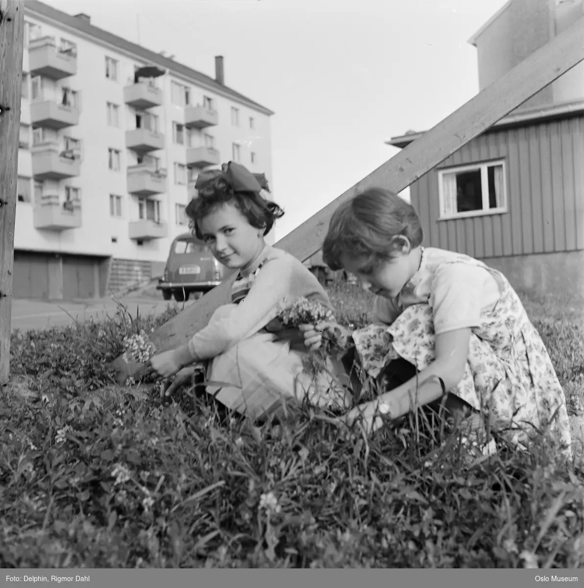 Elisabeth fra Østerrike, flyktning, jenter, blomsterplukking, boligblokk