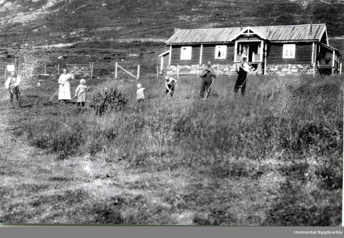 På Jordheimstølen,65.1, i Hemsedal i 1925.
Frå venstre: Narve Jordheim, Kristi Ålstveit, Gunhild, Engebret og Svein Jordheim og to slåttekarar.
