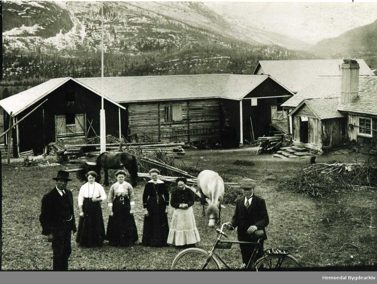 Frå venstre: Andres, Barbo, Birgit, Oline, Guro og Knut Viljugrein fotograferte i tunet på Søre Viljugrein, 80.4,  i Hemsedal etter  1913
