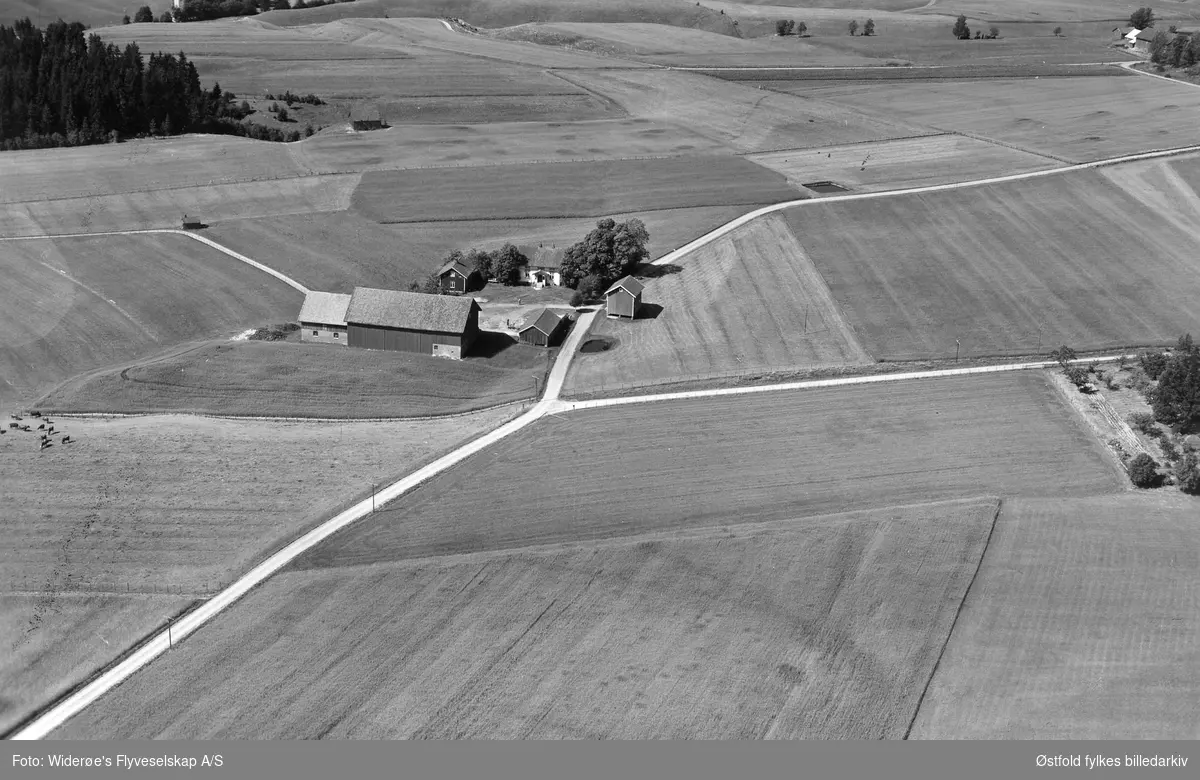 Gården Rånås i Eidsberg, flyfoto  4. august 1951. Kyr som beiter.
Mangler gårds-og bruksnummer; 1951: Eier Kr. Rånås.