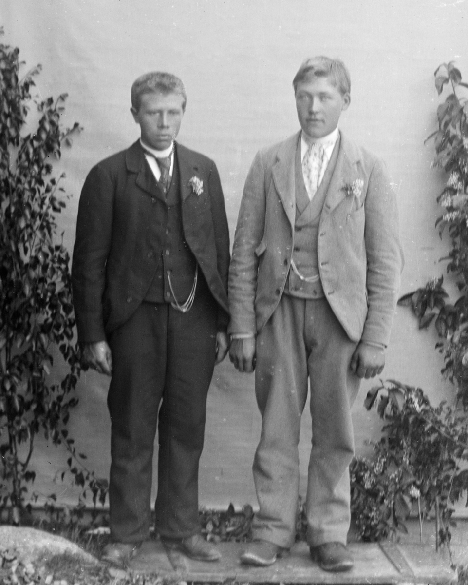 To unge menn i helfigur, stående foran lerret og mellom bjørkekvister