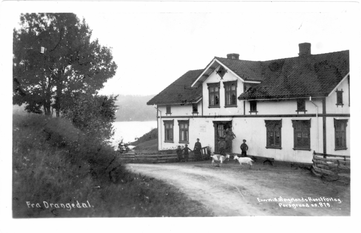 Drangedal. Hus, familie og geiter. Toke i bakgrunnen. Brukt 1915. 